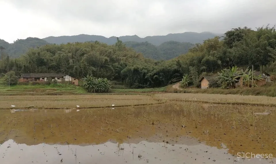 以意赋象,以象见意 竹枝书院 小隐建筑事务所