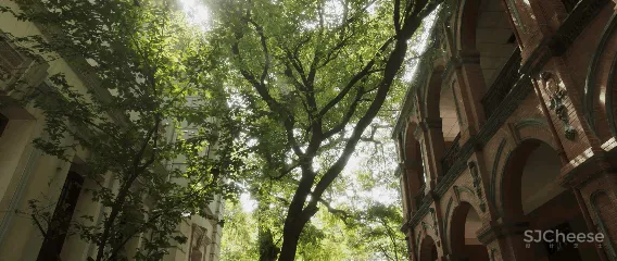 杭州绿城 ‧ 桃源小镇【源庐】 寻绎民国纷繁