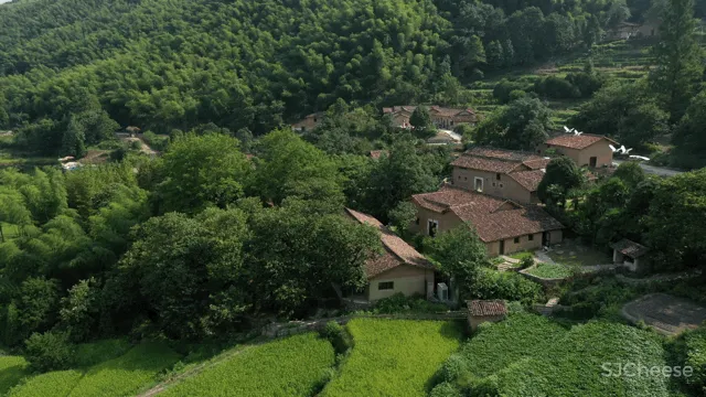 西坡又一新作,稻田躺吧、万亩梯田、四时瓜果……可以打卡了!