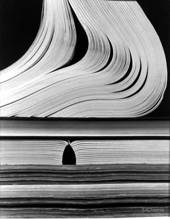 遇见城市未来“书”写生活调性 SUNS 尚石