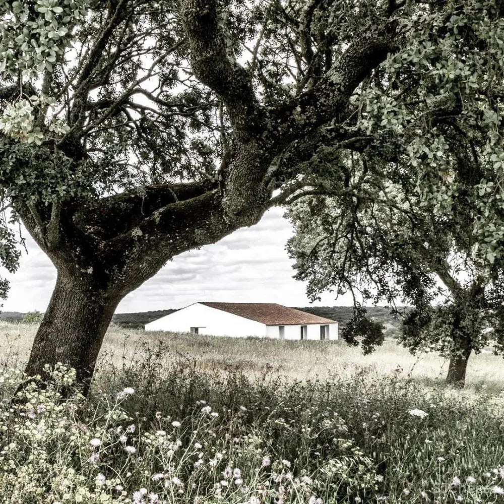 一座孤独的乡村民宿，400公顷田园丛林，这里的心灵治愈很高级！