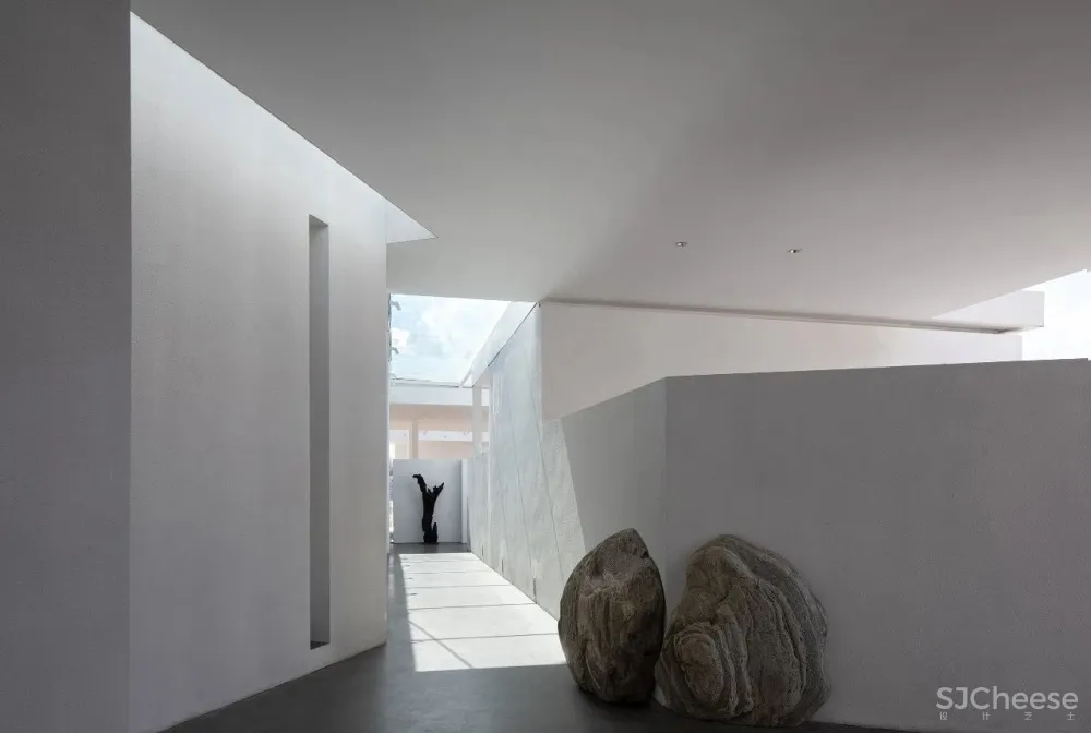 今古凤凰 来于自然,归于自然