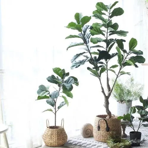 283平米的四卫空间,这里的许多东西都是我的梦想啊!