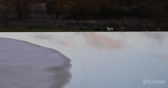 一座孤独的乡村民宿，400公顷田园丛林，这里的心灵治愈很高级！