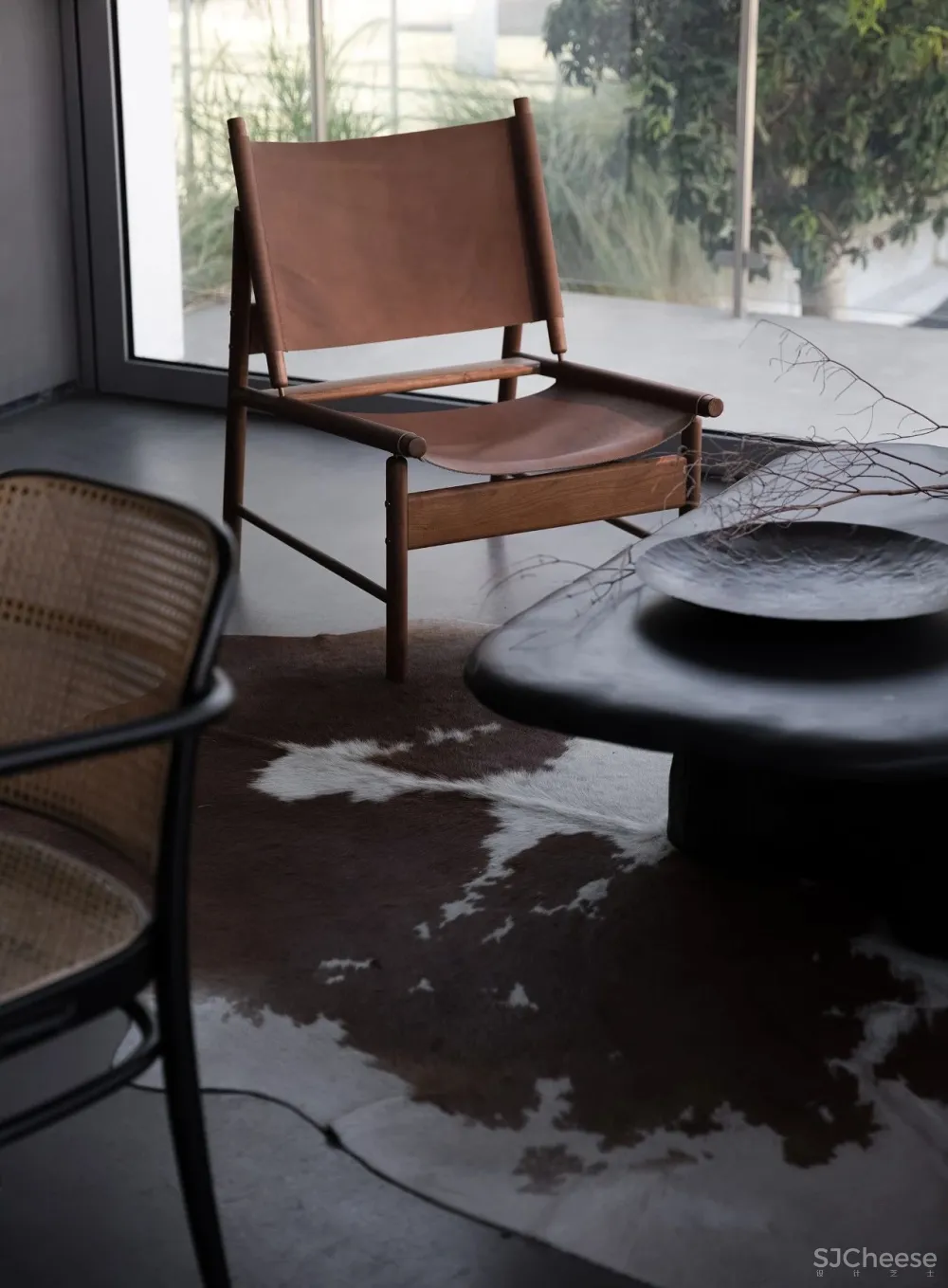 今古凤凰 来于自然,归于自然