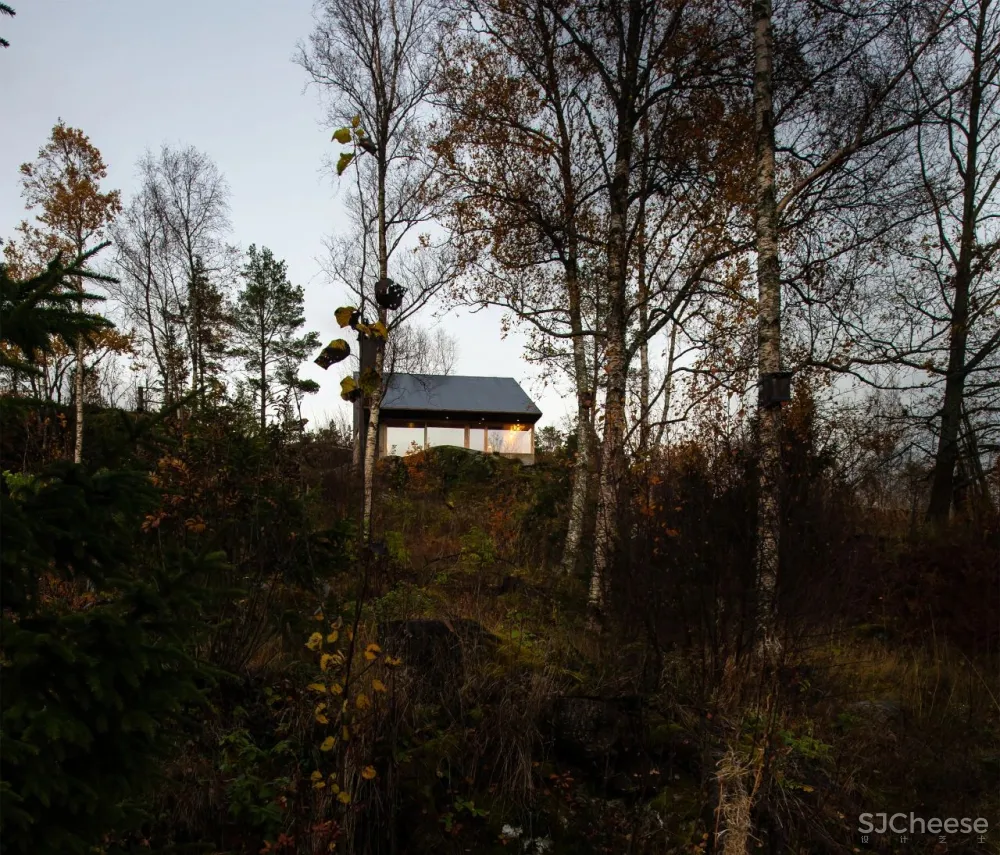 避世小屋，才是高级的诗意栖居