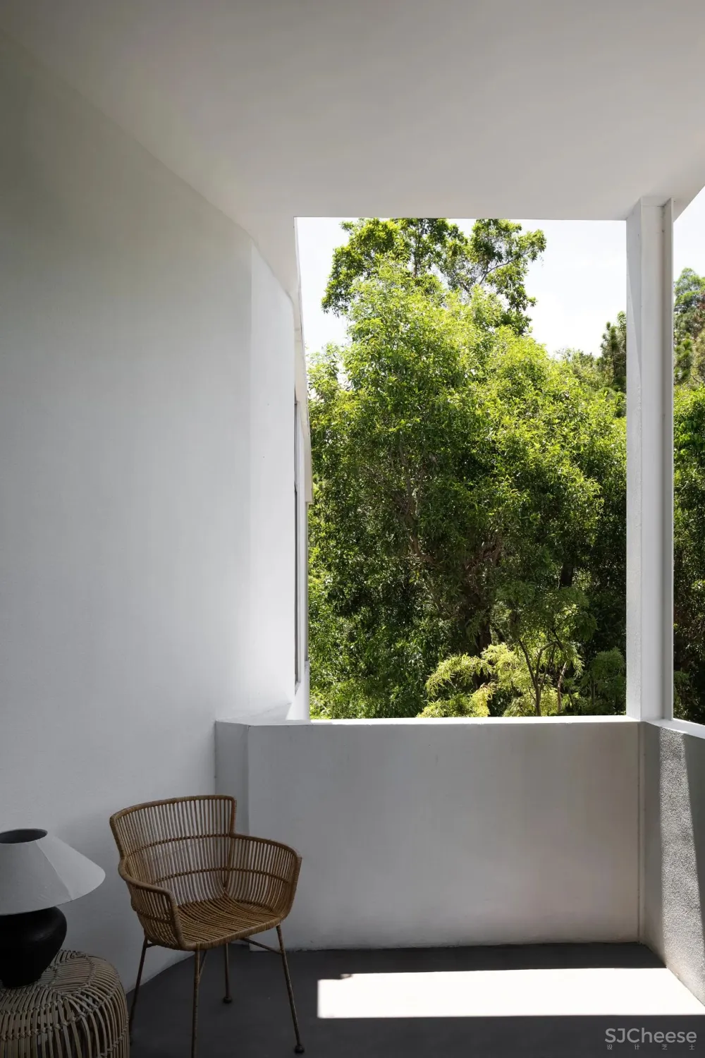 今古凤凰 来于自然,归于自然