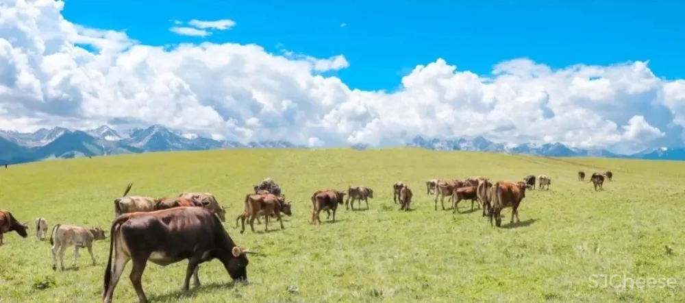 这个东方小瑞士终于官宣开放！9月迎来了颜值巅峰，带着惊艳全世界的最美秋景回归！