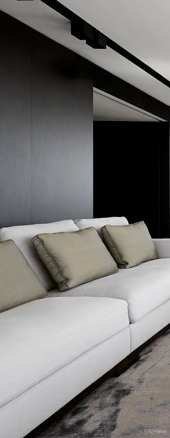 Real estate 澳大利亚 时尚住宅