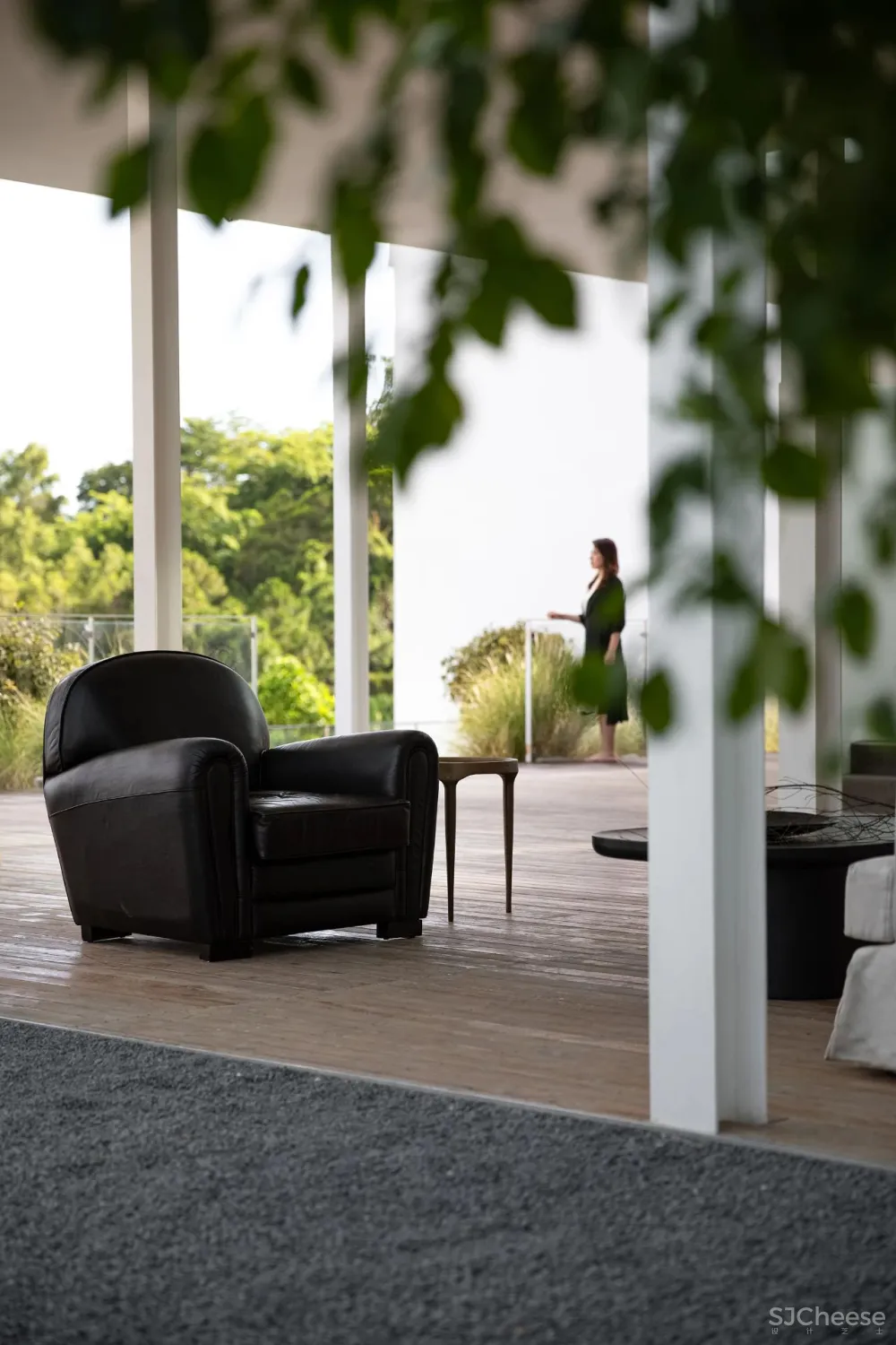 今古凤凰 来于自然,归于自然