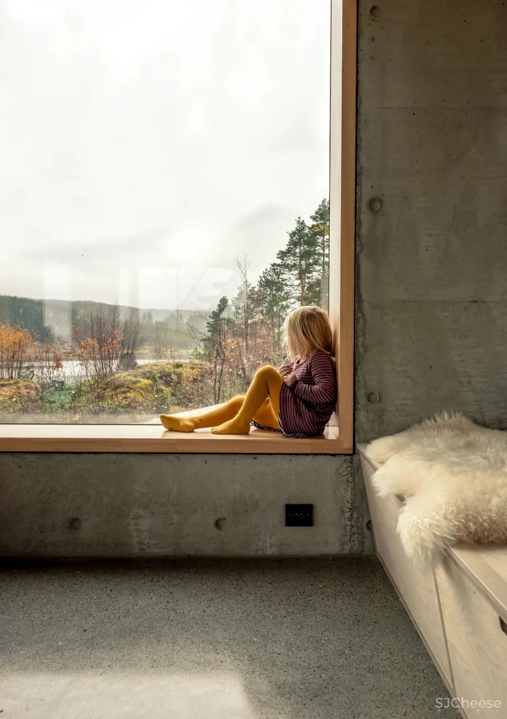 避世小屋，才是高级的诗意栖居