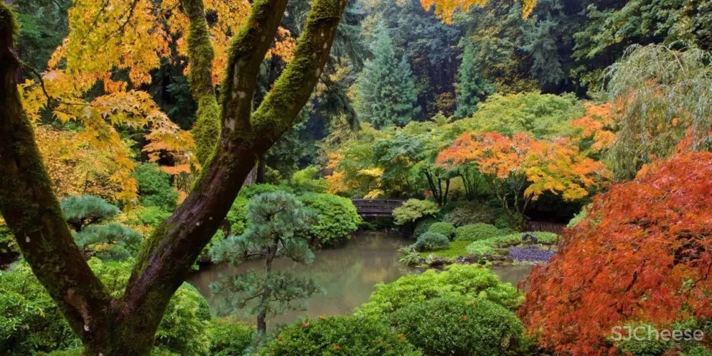 隈研吾设计的波特兰日本文化村,是如何成为文旅融合典范的?