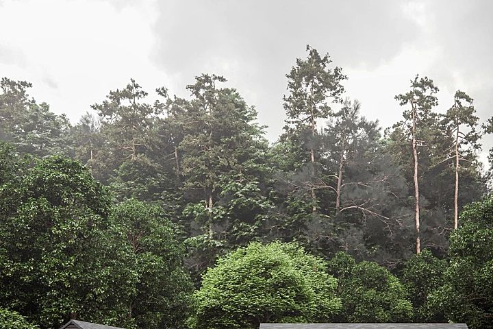 Real estate 素雅情怀 米色系列