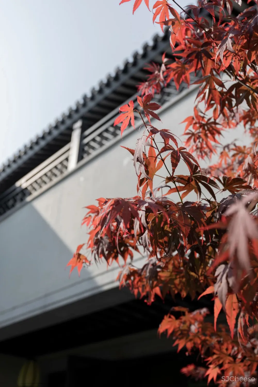 大朴设计 :院中有院演绎江南美学