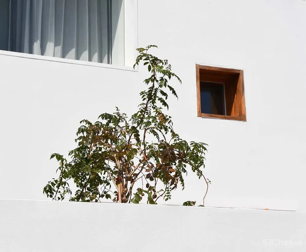 旧房糅合新貌,诠释民宿生活的意境