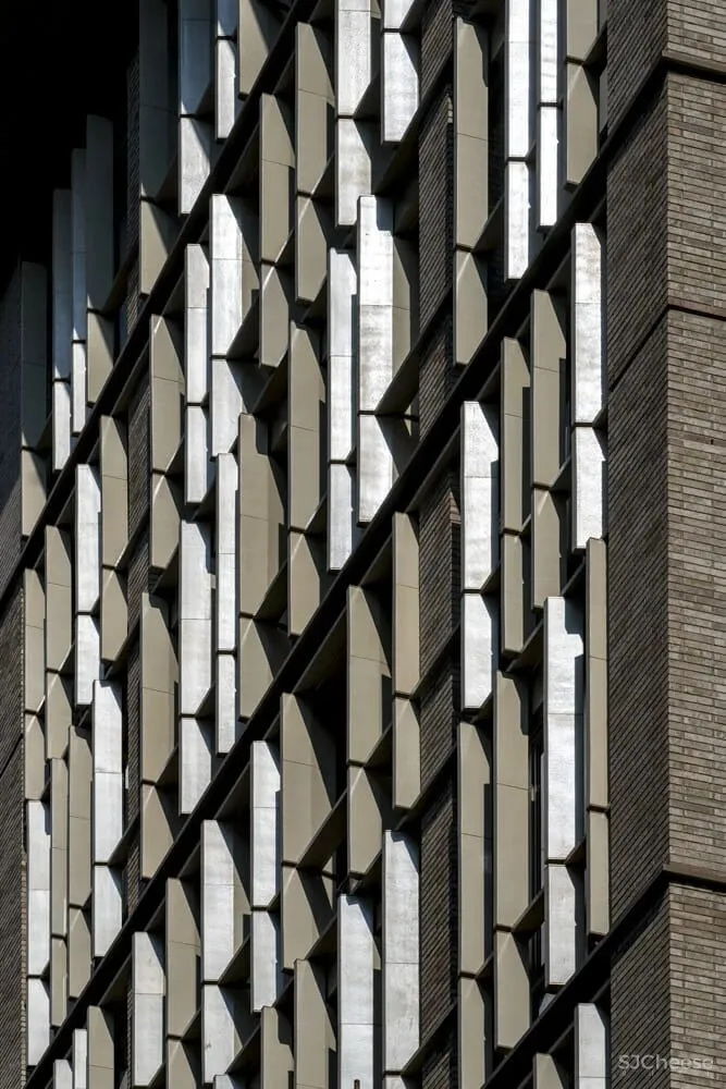 Real estate 纽约现代 自然舒适