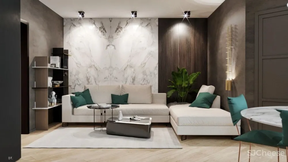 轻奢之美 丨一个空间,两个方案