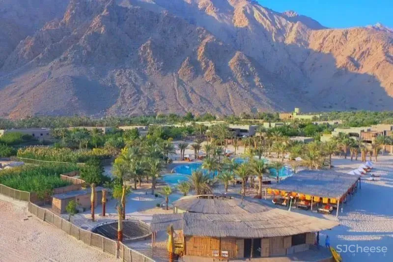 以色列沙漠中的Sex Senses第六感酒店,是否能激发你的灵感?