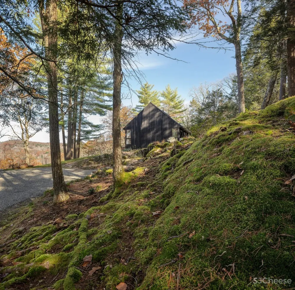 避世小屋，才是高级的诗意栖居
