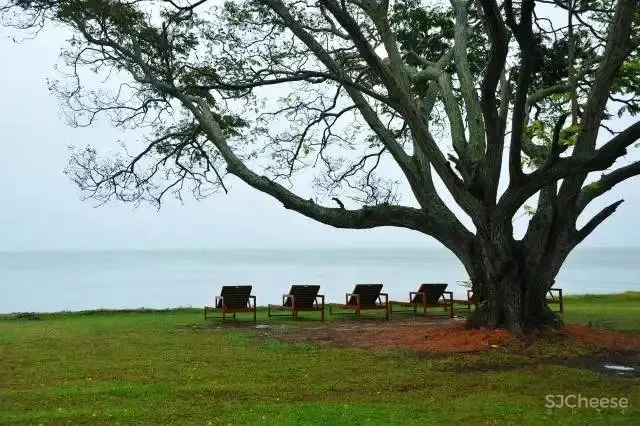 “亚洲建筑之父”杰弗里·巴瓦Geoffrey Bawa—11个经典作品合集！