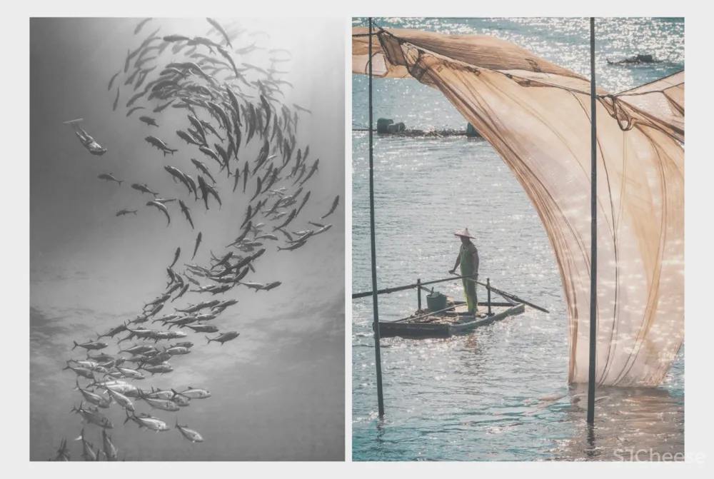 福建平潭滨海鼎新崇文府售楼 处李益中