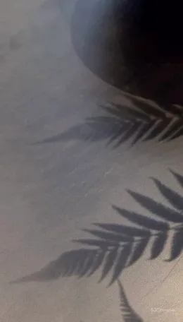 海派东方,东方语境下的现代笔调 维几设计