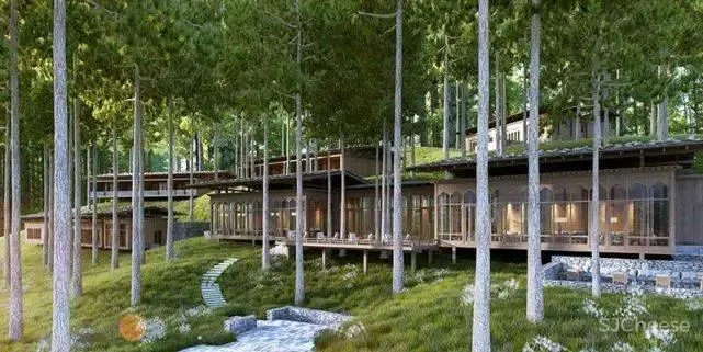 以色列沙漠中的Sex Senses第六感酒店,是否能激发你的灵感?