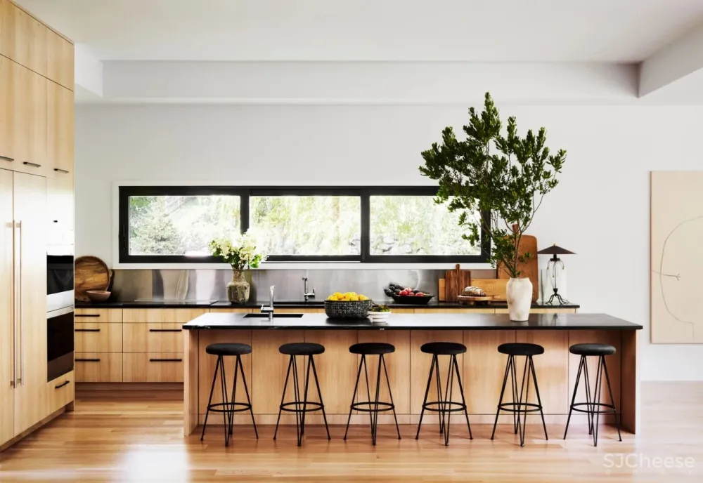 Christian Siriano現代主義避難所