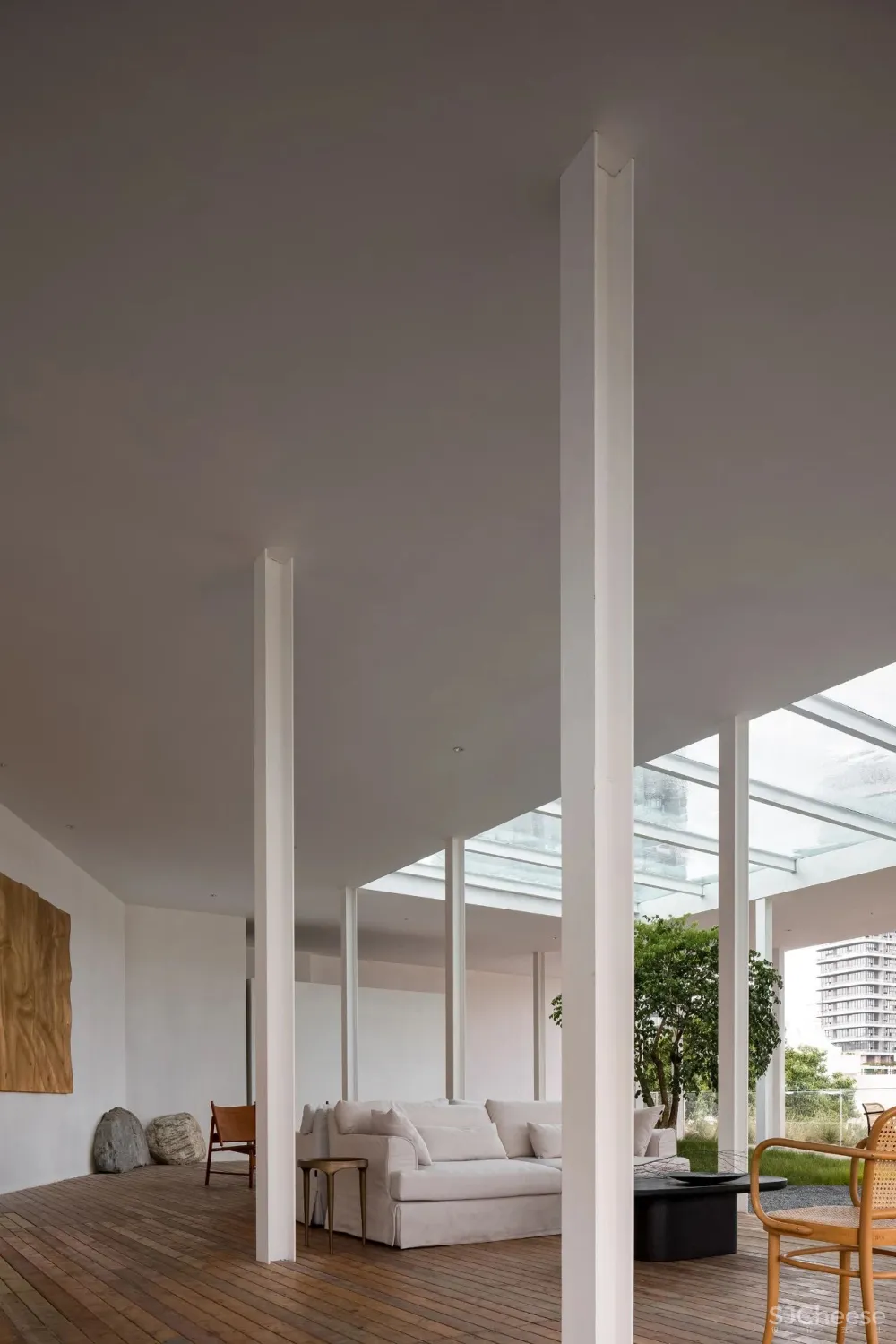 今古凤凰 来于自然,归于自然