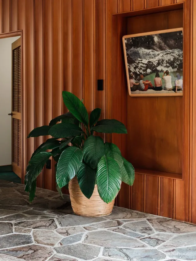 秋韵偏爱这抹自然色彩