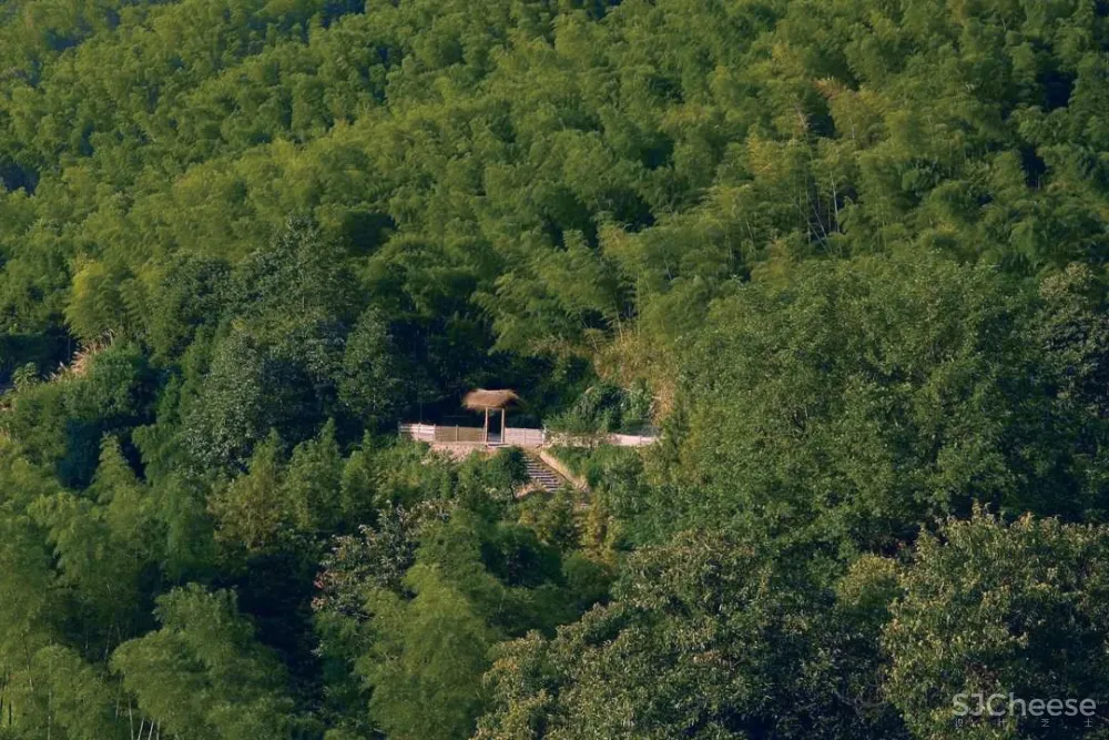 西坡又一新作,稻田躺吧、万亩梯田、四时瓜果……可以打卡了!