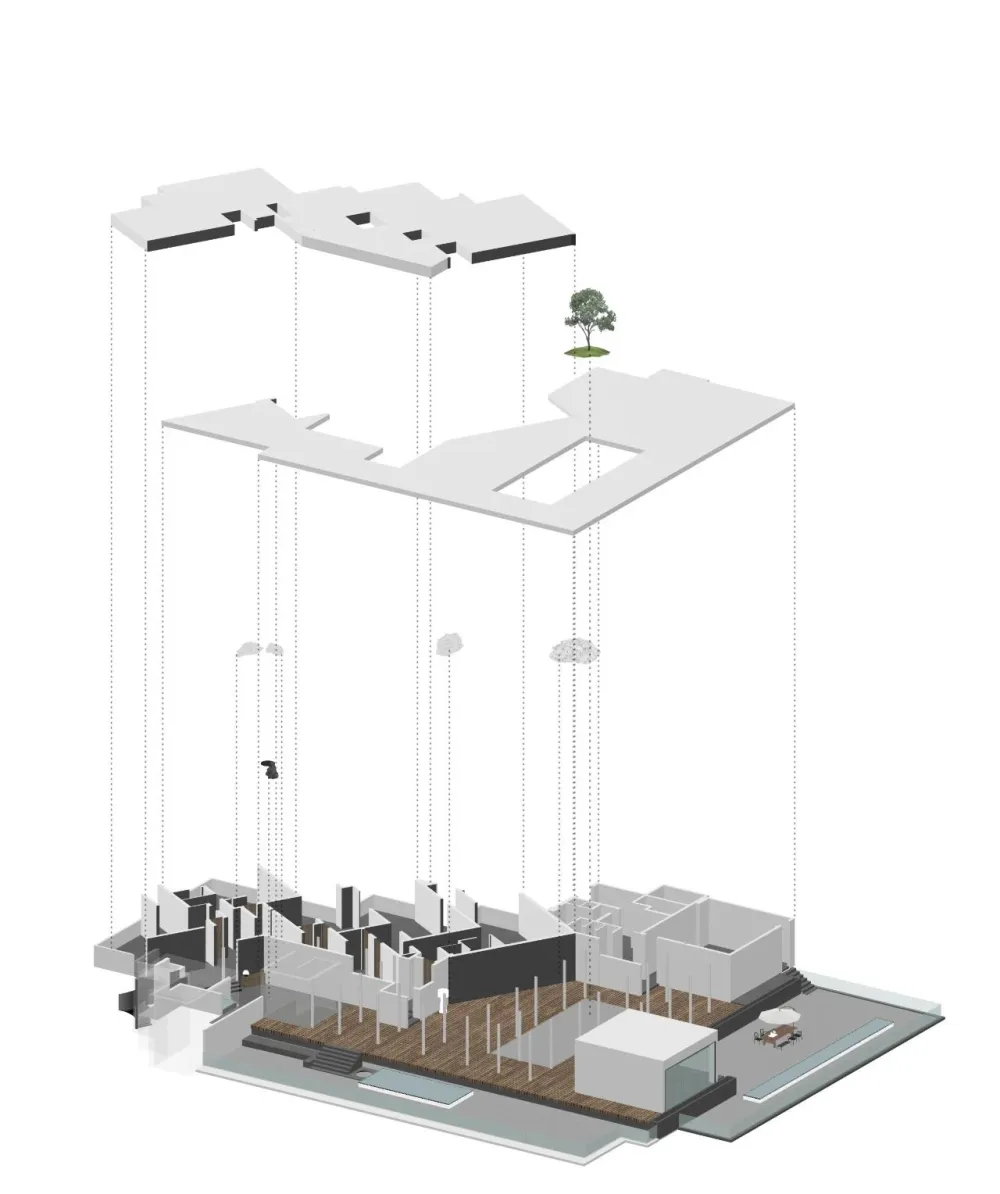 今古凤凰 来于自然,归于自然