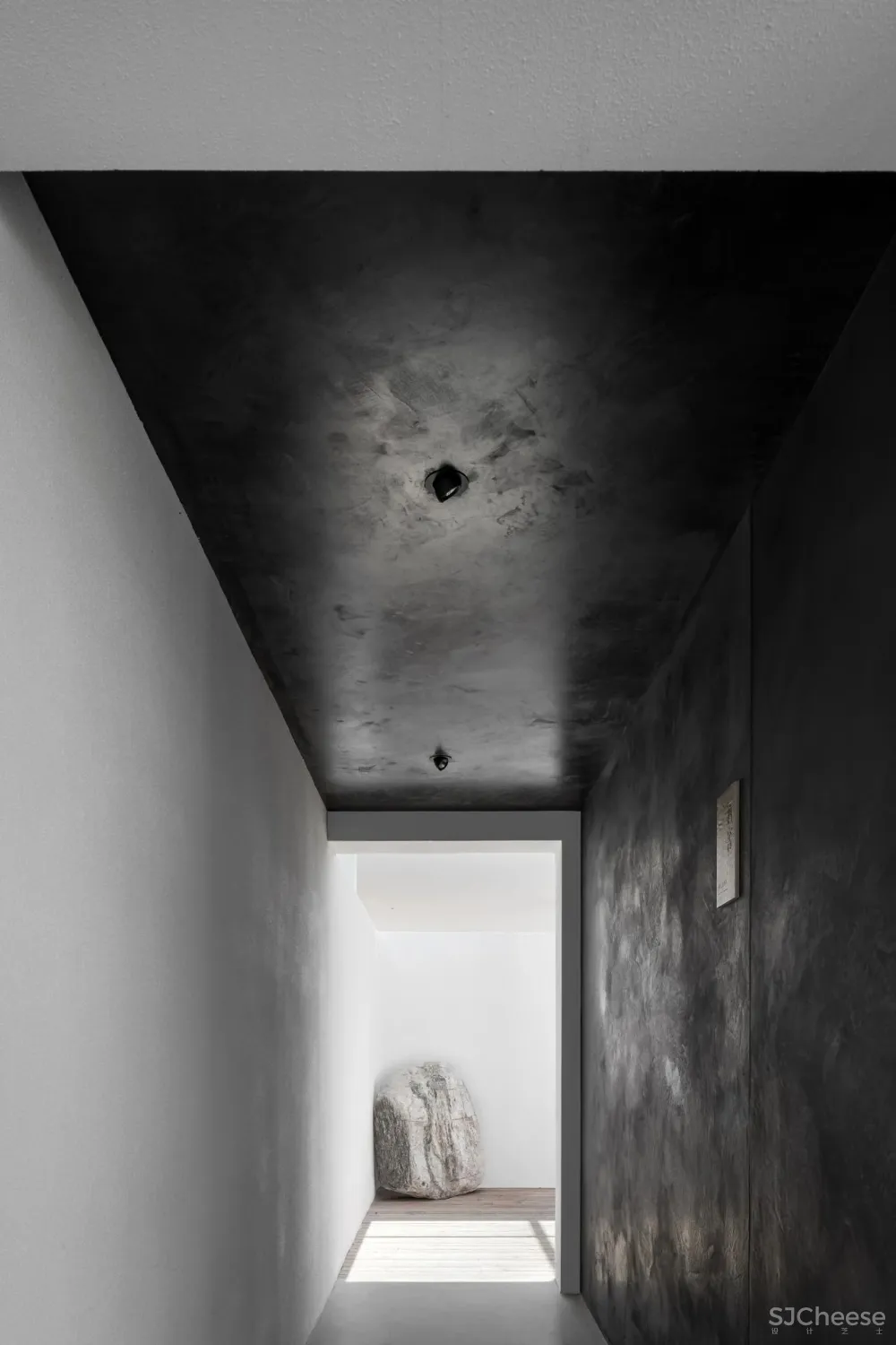 今古凤凰 来于自然,归于自然