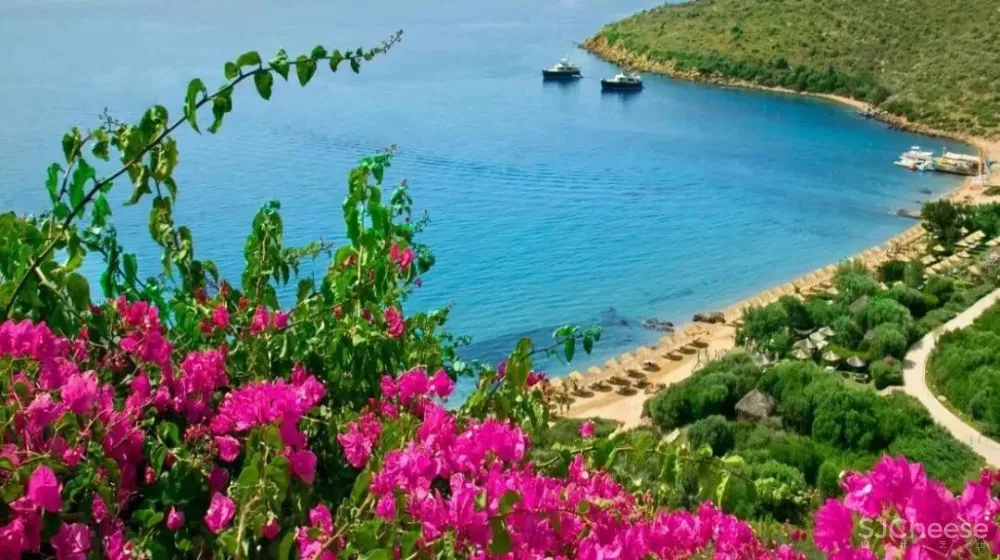 与闹市隔绝的静谧感受- 曼谷Sindhorn凯宾斯基酒店!