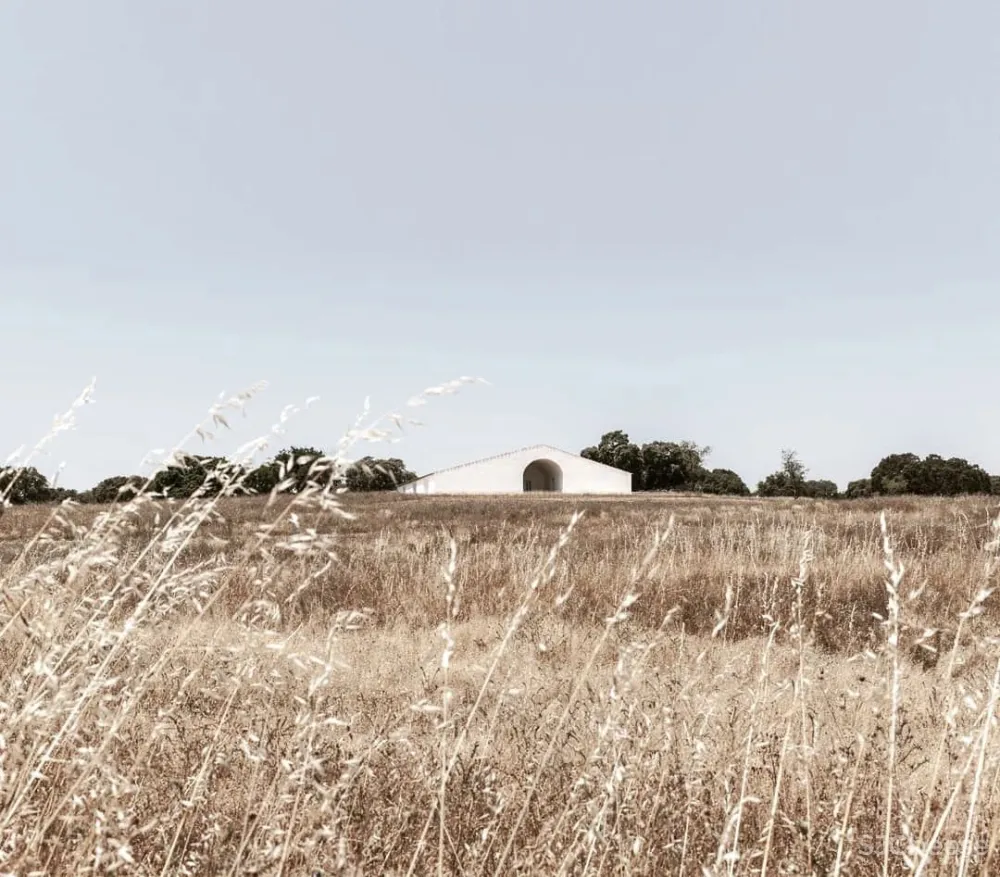 一座孤独的乡村民宿，400公顷田园丛林，这里的心灵治愈很高级！