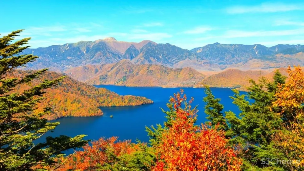 这座别墅只有几件家具，却吸引了所有人的目光