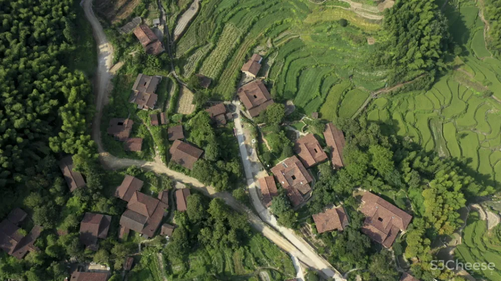 西坡又一新作,稻田躺吧、万亩梯田、四时瓜果……可以打卡了!