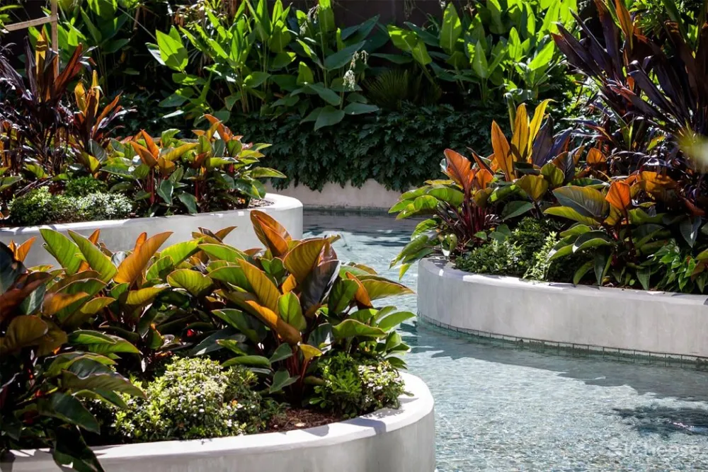 大尺度22米高人工瀑布 顶层无边泳池 生态豪宅新玩法