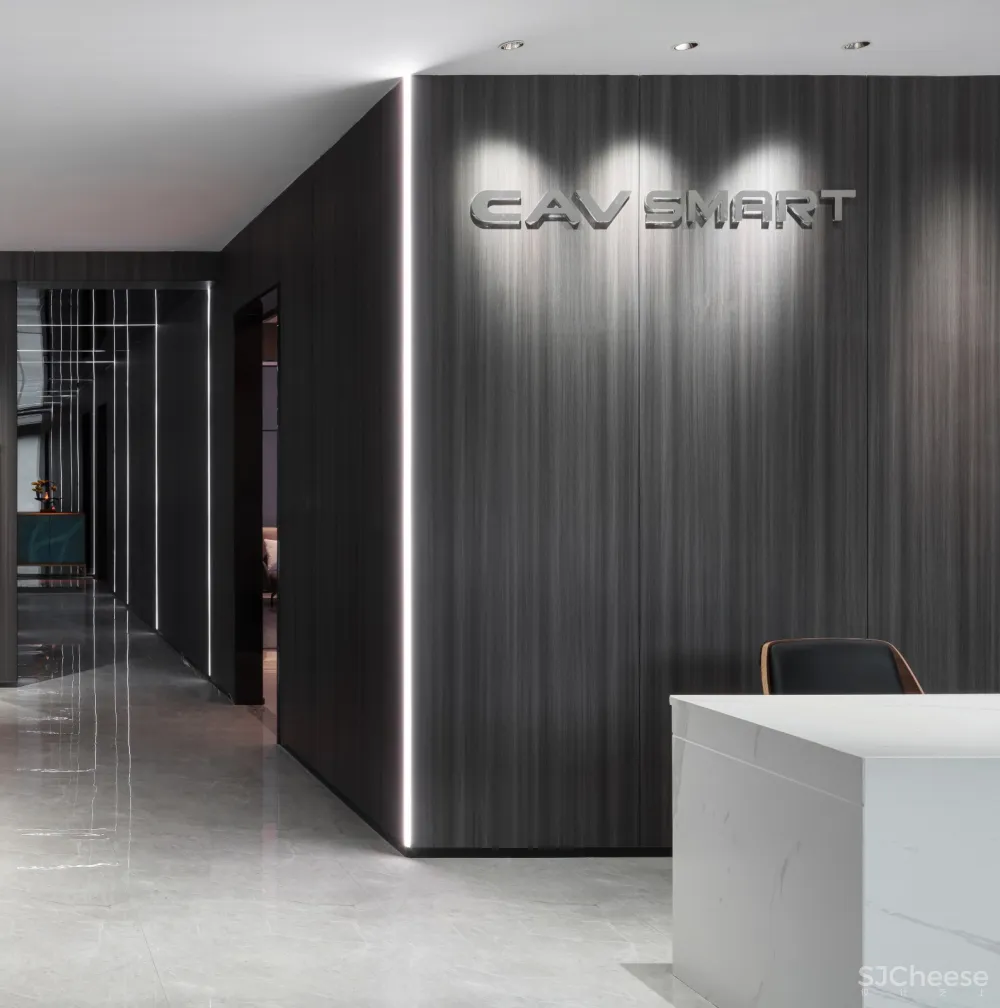 朗生案例 | CAV智能影音-邂逅一场前所未有的视听体验