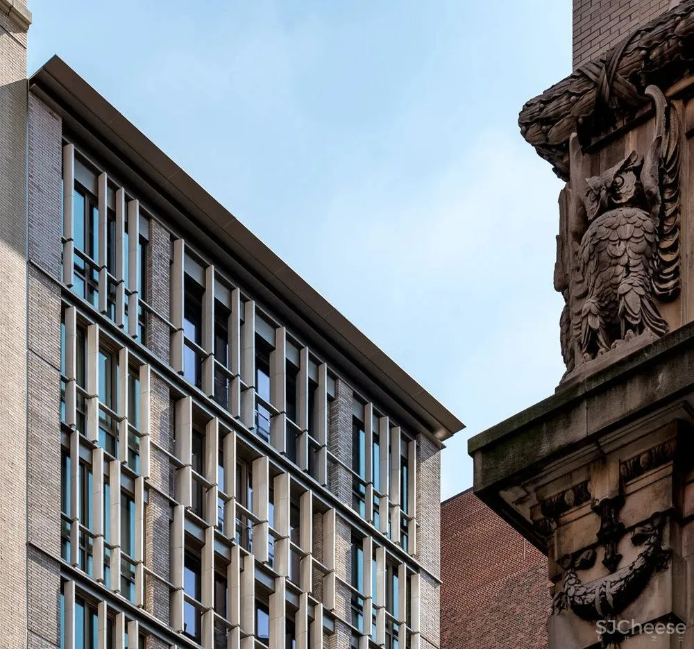 Real estate 纽约现代 自然舒适