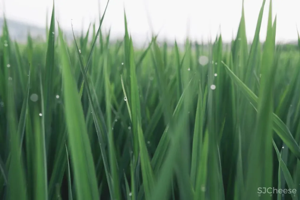 告别人从众！这个被低估的“西南小瑞士”，被稻田火山与古老温泉所拥抱，600年边陲小城的魅力，人见人爱！