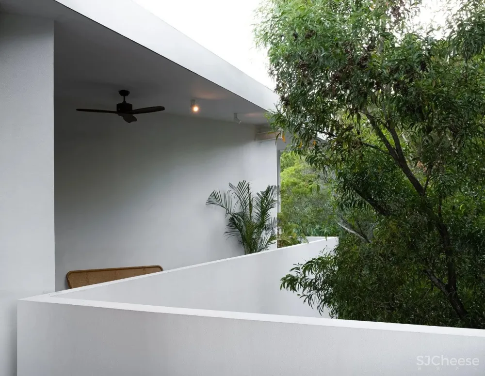 今古凤凰 来于自然,归于自然