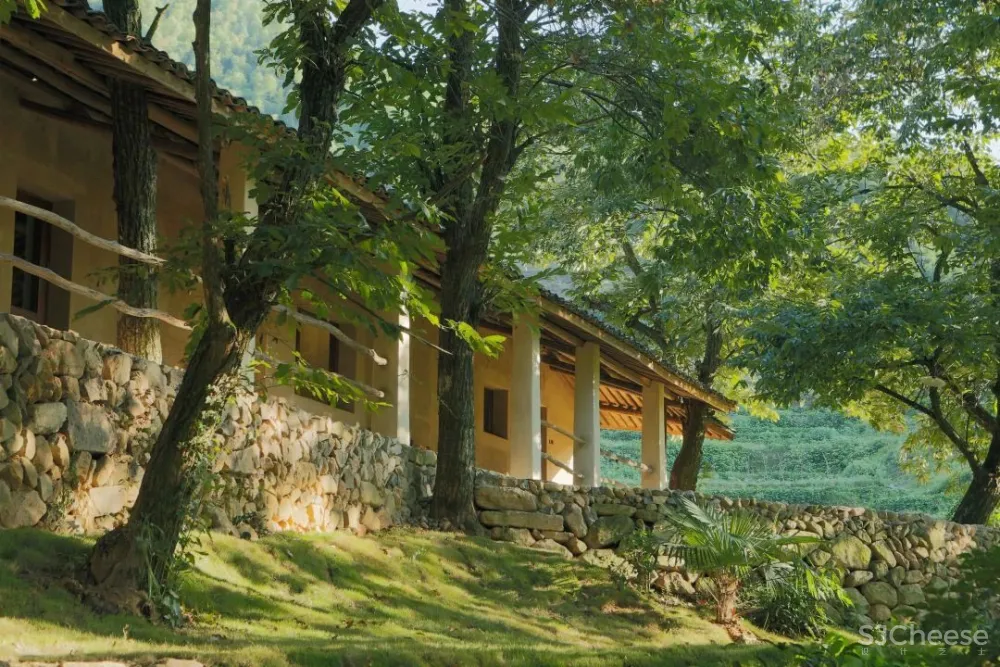 西坡又一新作,稻田躺吧、万亩梯田、四时瓜果……可以打卡了!