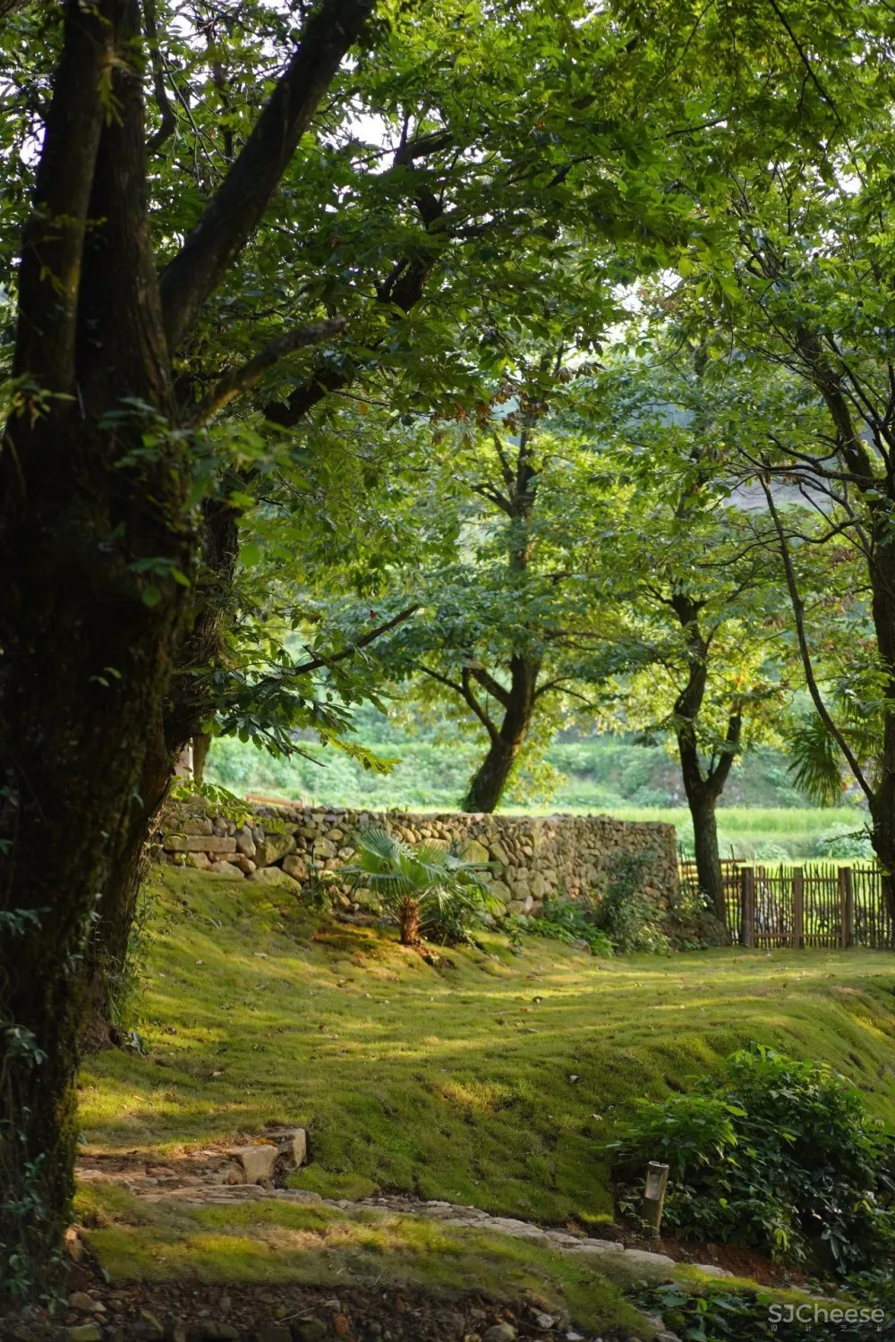 西坡又一新作,稻田躺吧、万亩梯田、四时瓜果……可以打卡了!