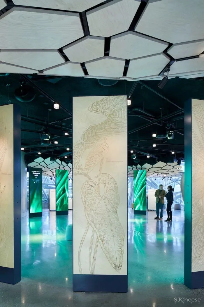 自然与建筑：球体的故事