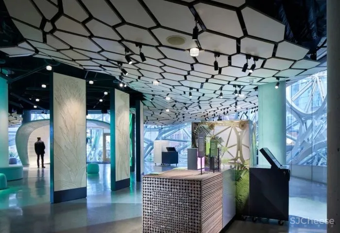 自然与建筑：球体的故事