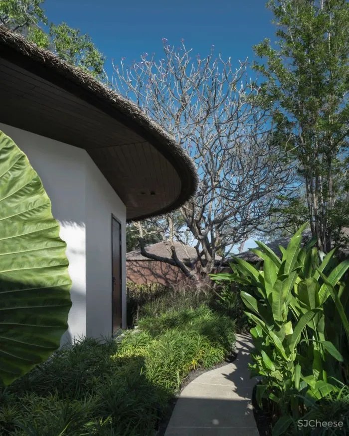 泰国又出极致度假酒店:面朝大海,融于自然!