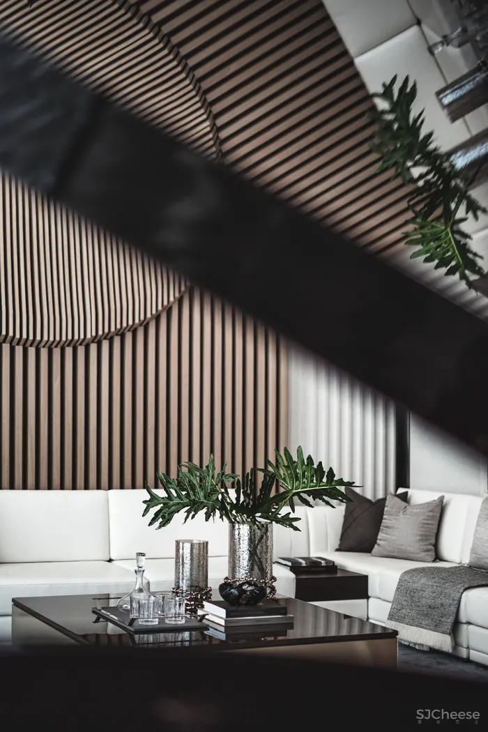 650㎡ 独栋别墅,以水为线 · 与水共生!