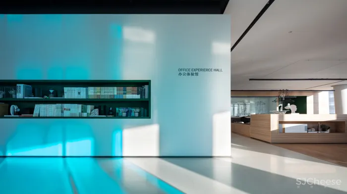 飞行的姿态,1895时光城市展厅 共生形态