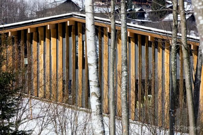 隈研吾新作又把木头玩出新花样!这是要集齐建筑材料的一百种玩法?